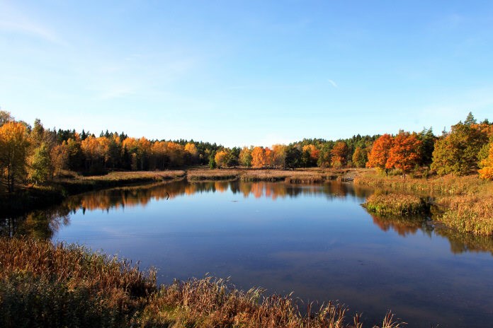 Långängens naturreservat
