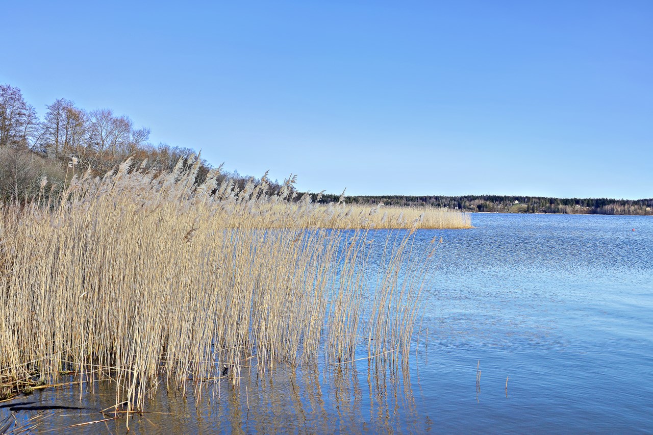 Abbedissavägen 10