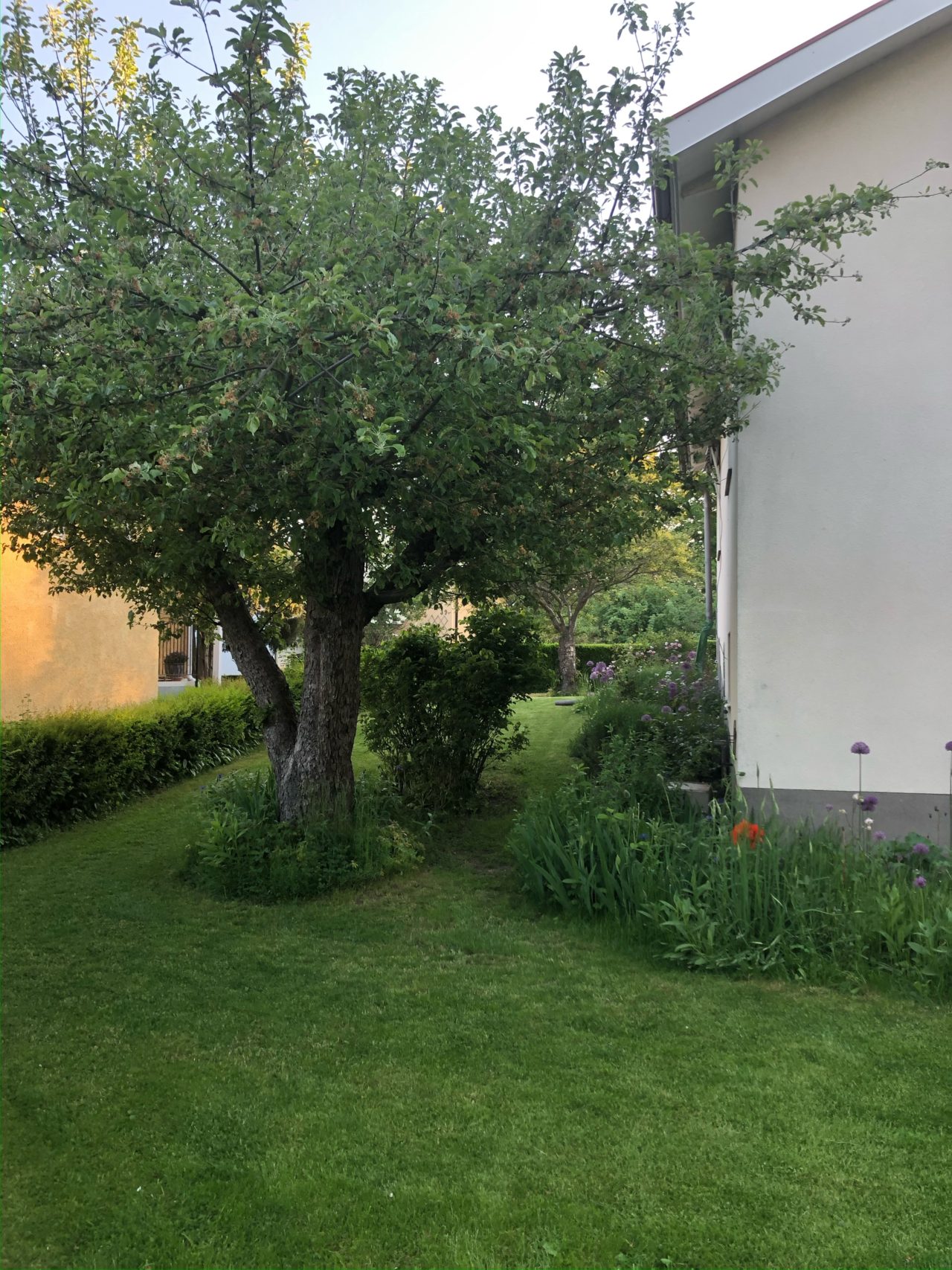Medelpadsgatan 24