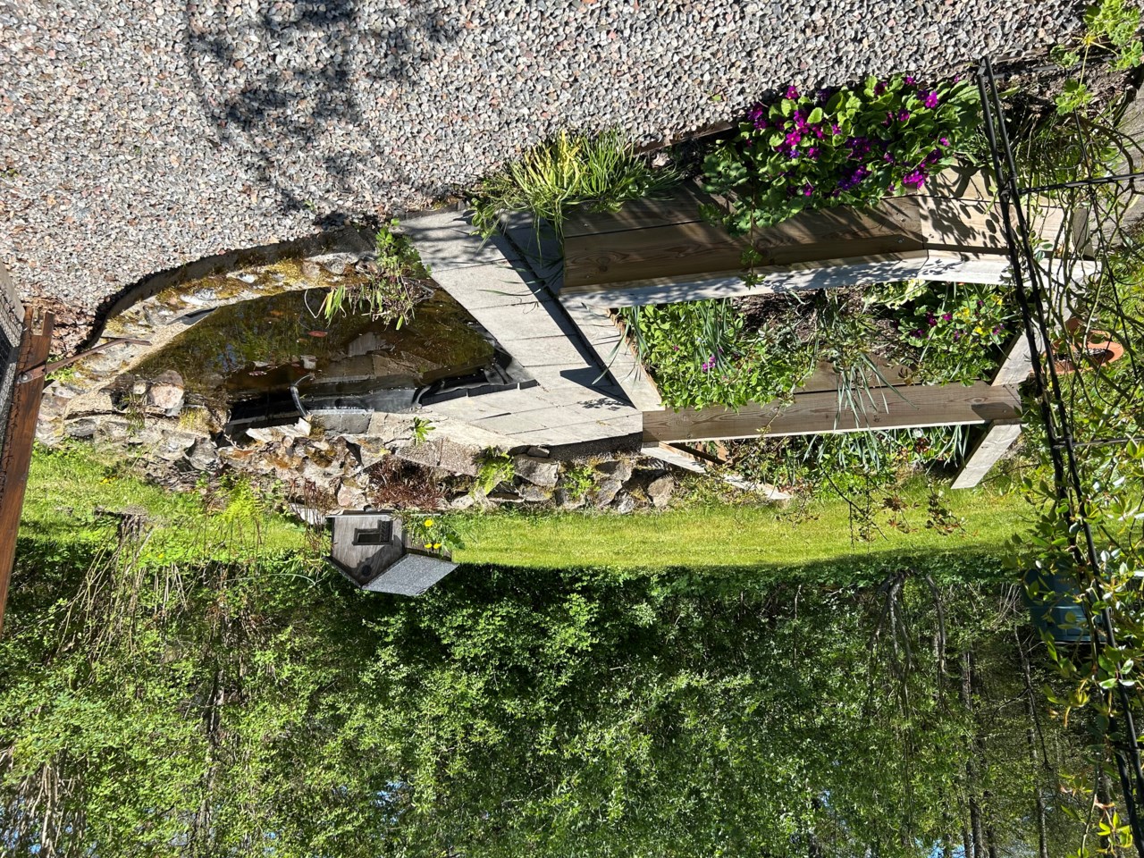 Dammen vid huset