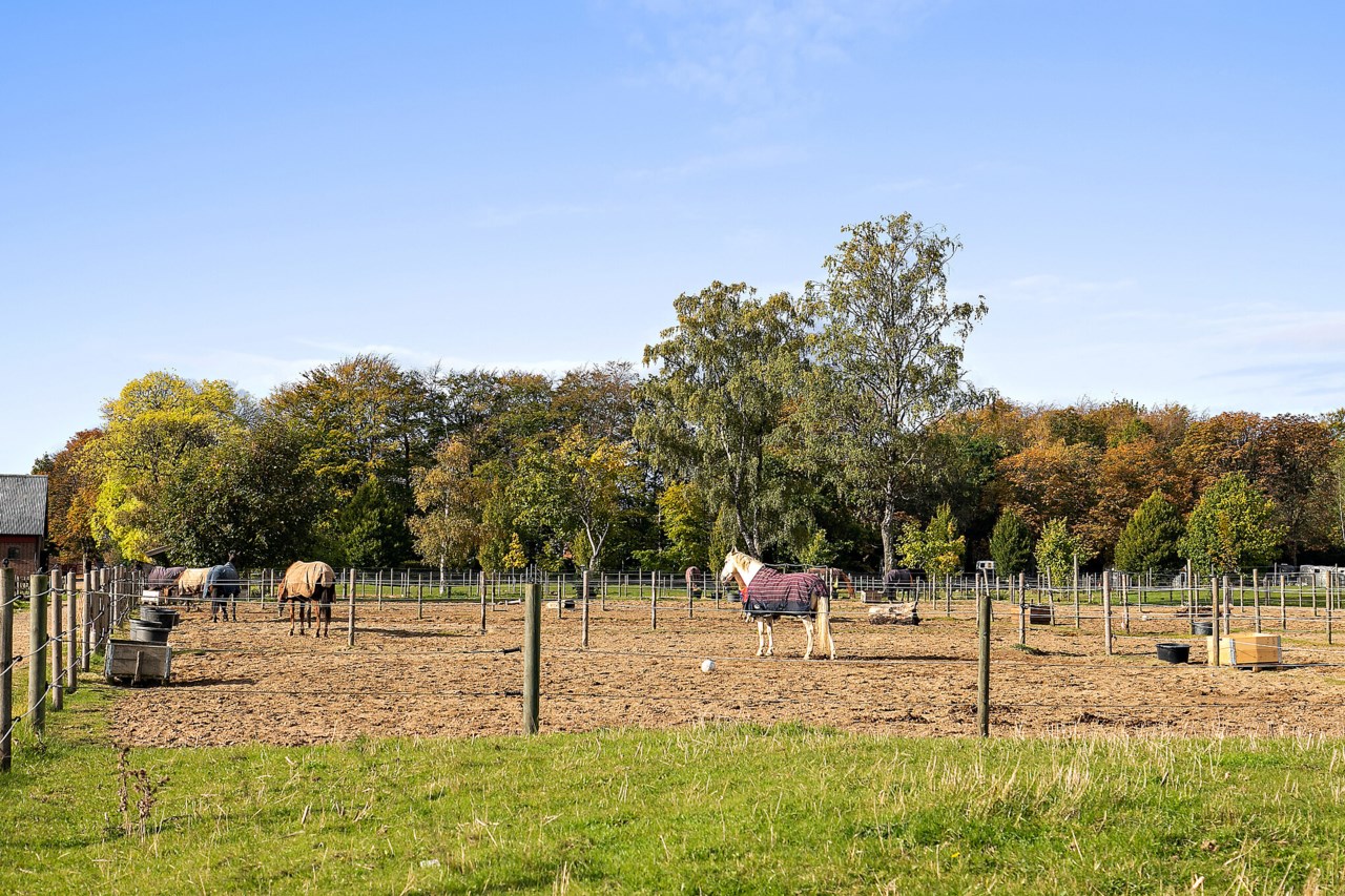 Blombergagatan 4