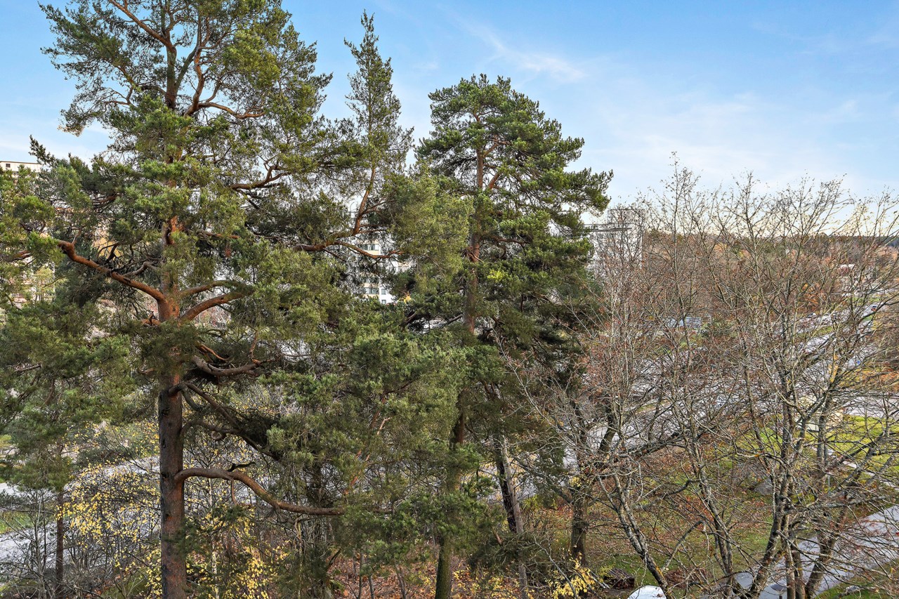 Olshammarsgatan 56,4tr
