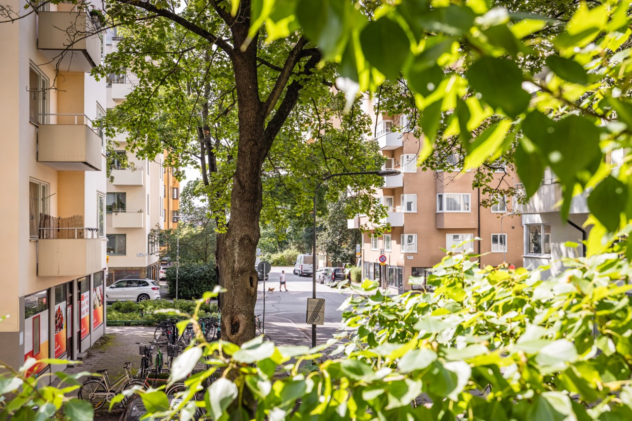 Bergsundsgatan 12