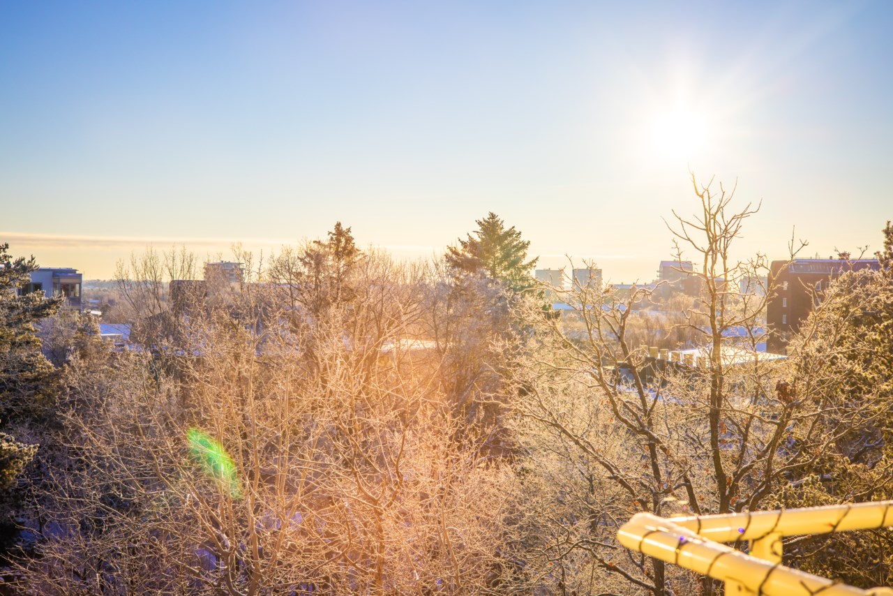 Terrängvägen 85, vån 2