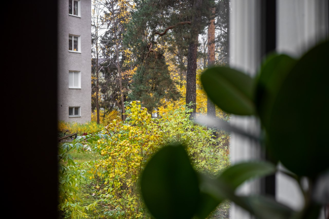 Terrängvägen 67