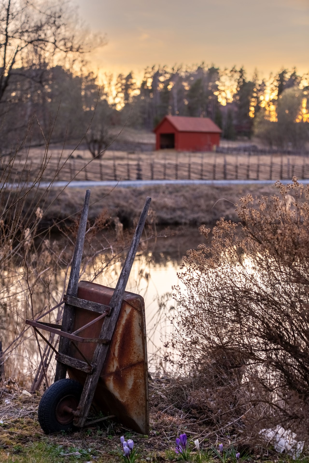 Kolonivägen 1, lott nr 12