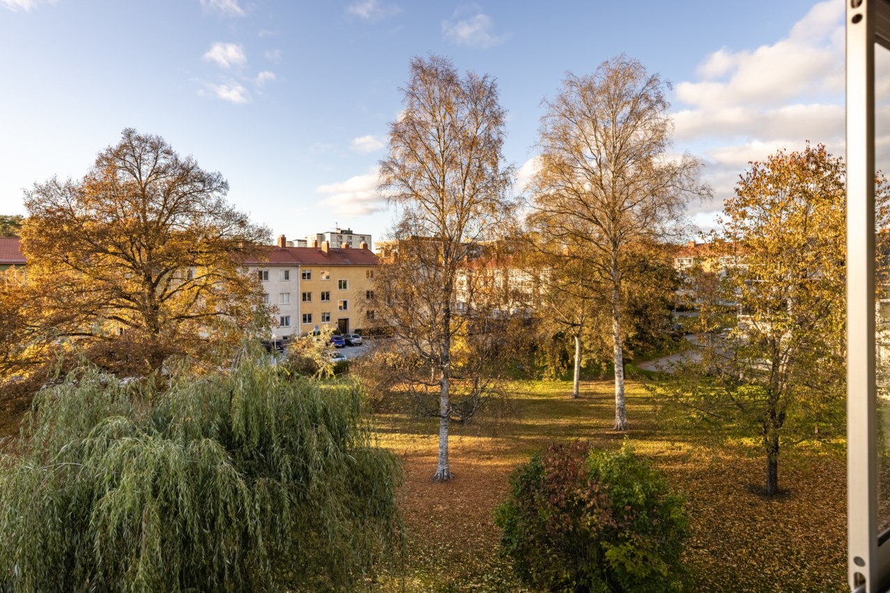 Hammarvägen 48