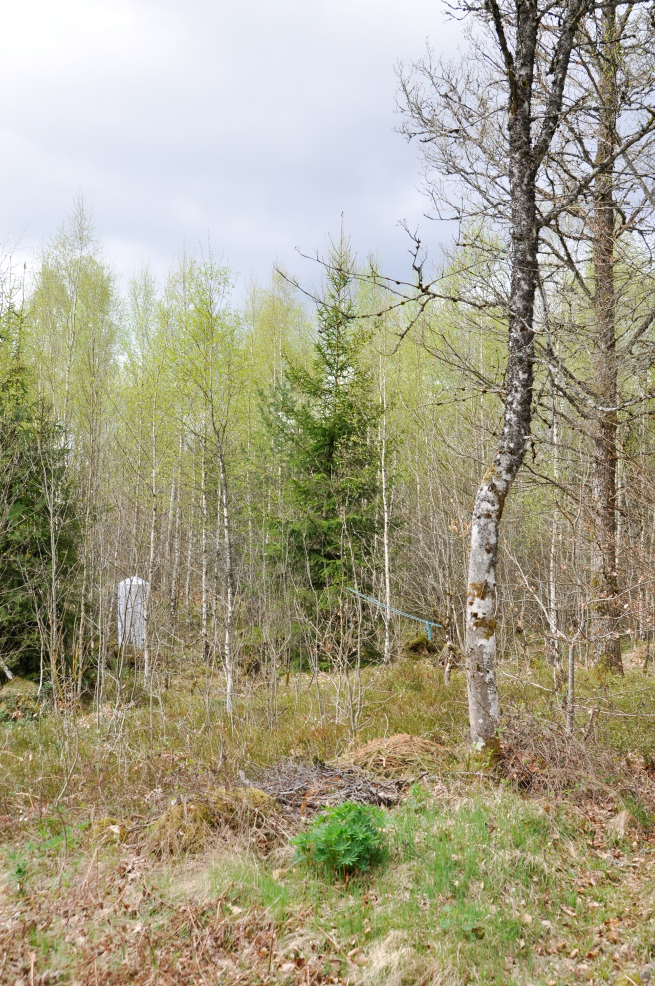 Ekön 3229