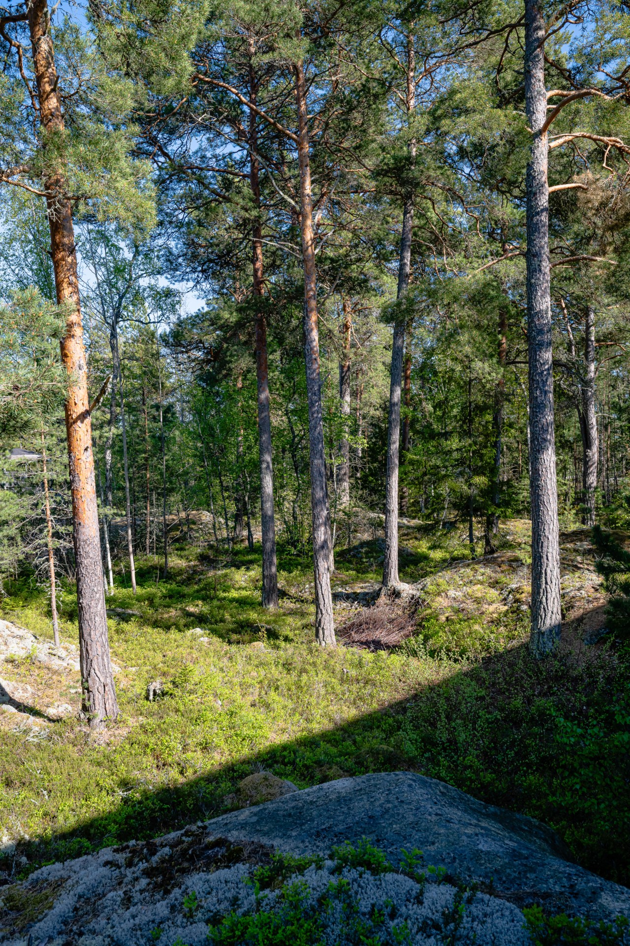 Norra Skålviksstigen 25