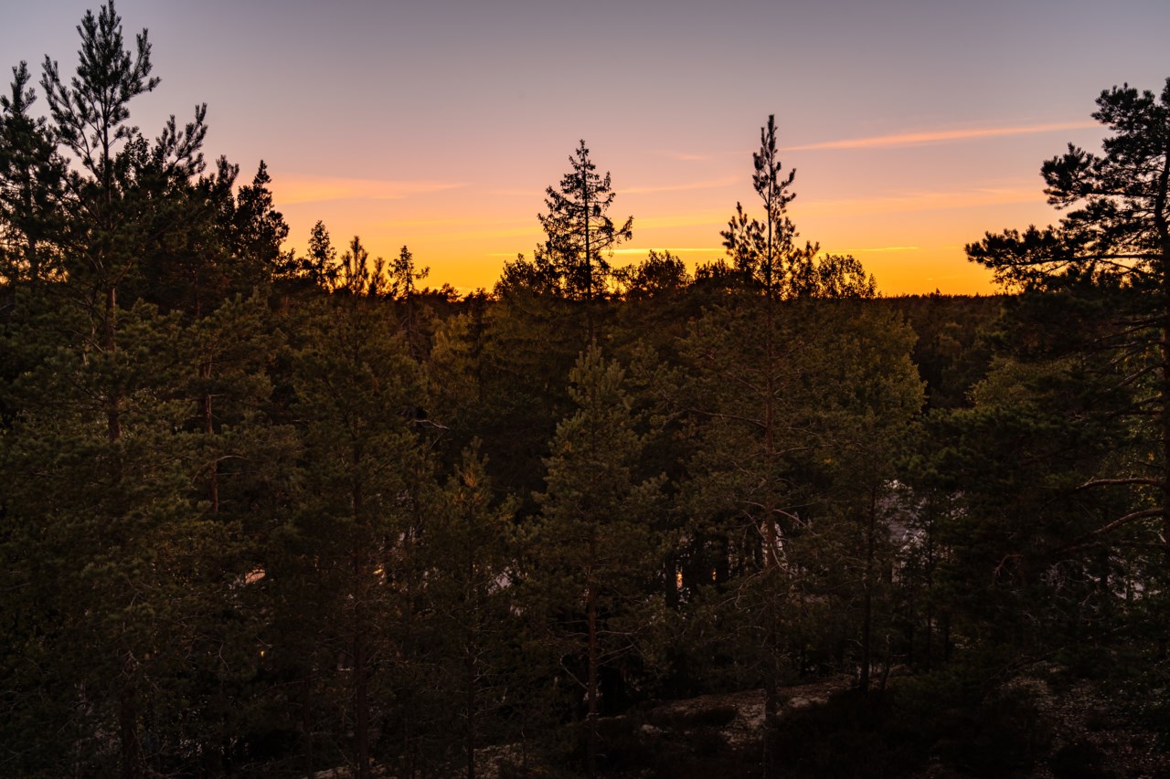 Bergtomtavägen 17