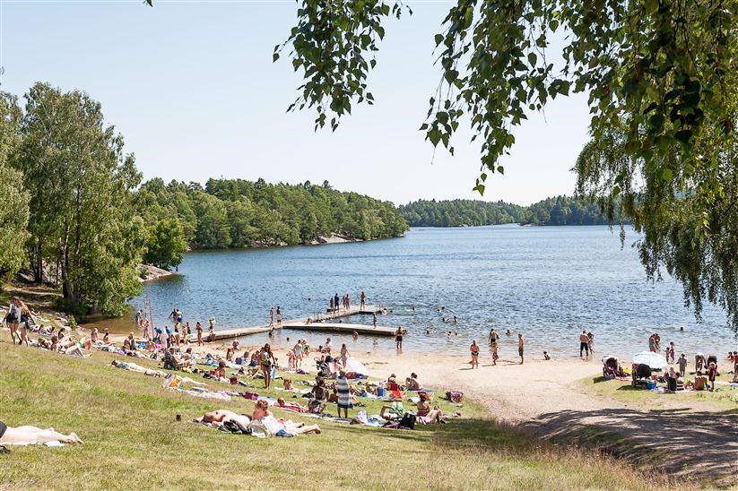 Stabbegatan 55