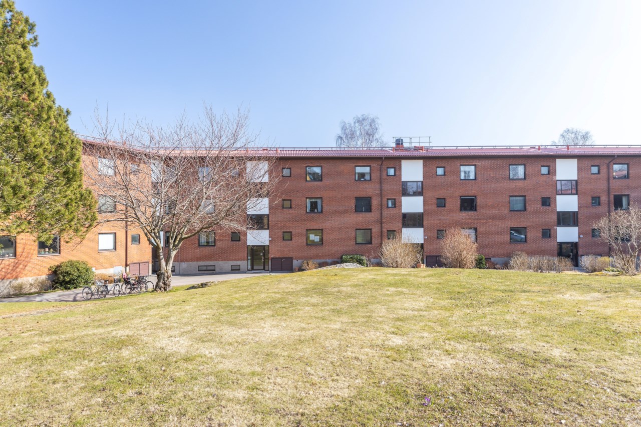 Stabbegatan 55