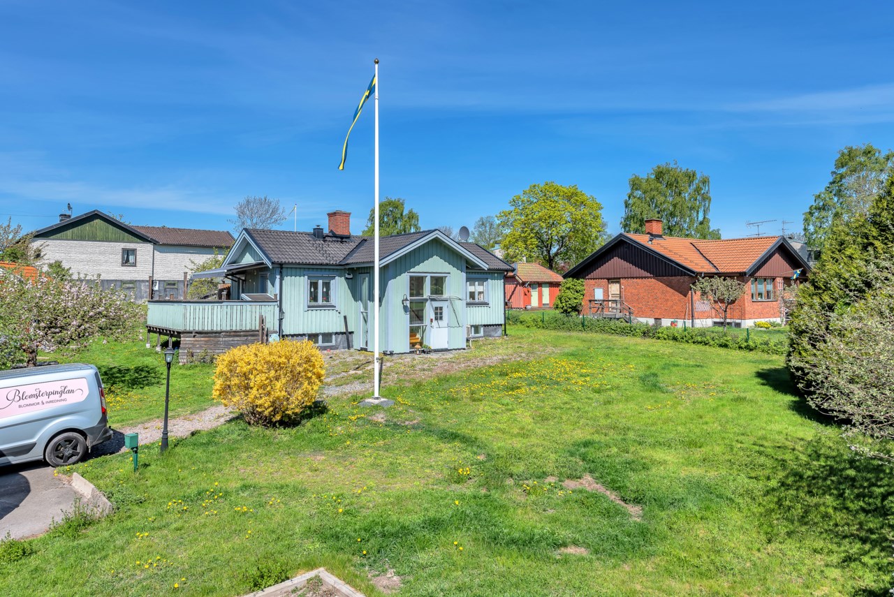 Stor uppväxt trädgård