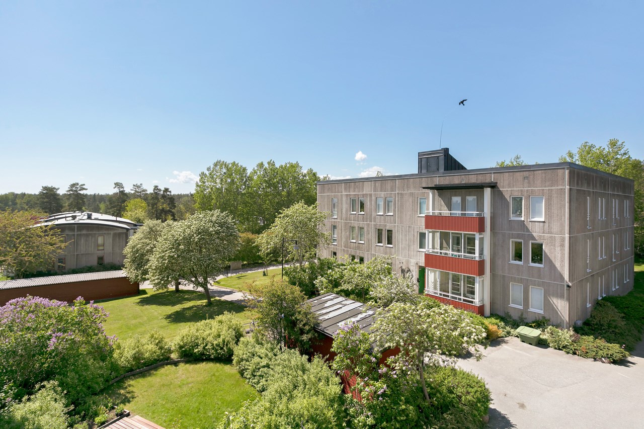 Ormingeringen 19