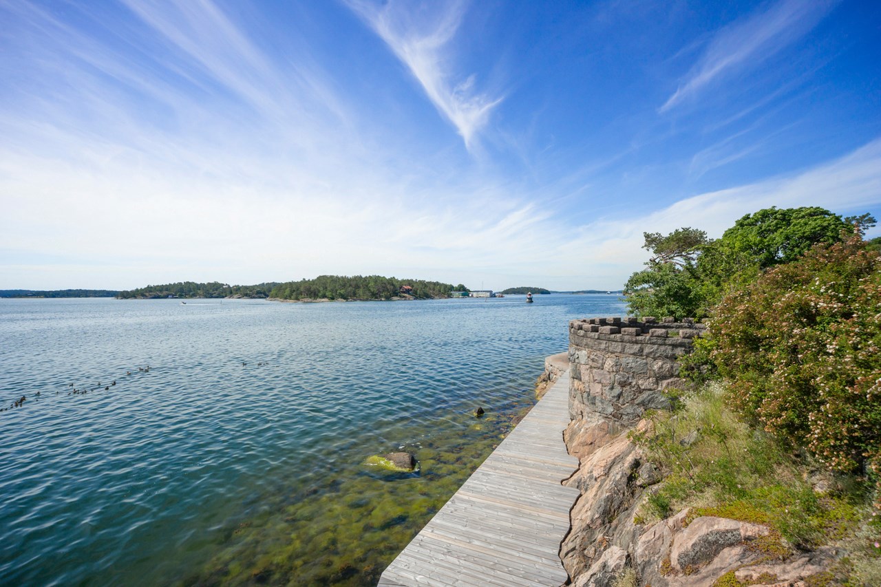 Lyngsåsa 4