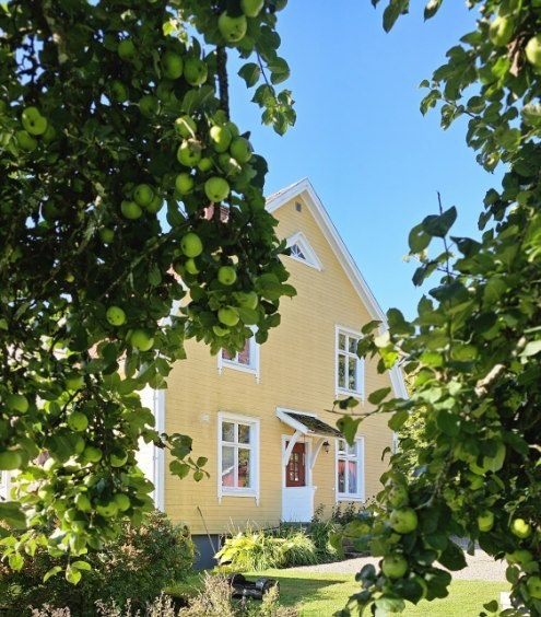 Säljarens egna bild