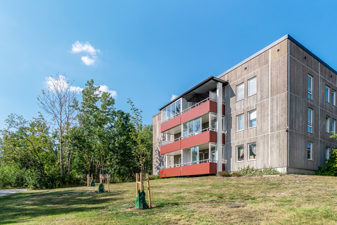 Ormingeringen 18