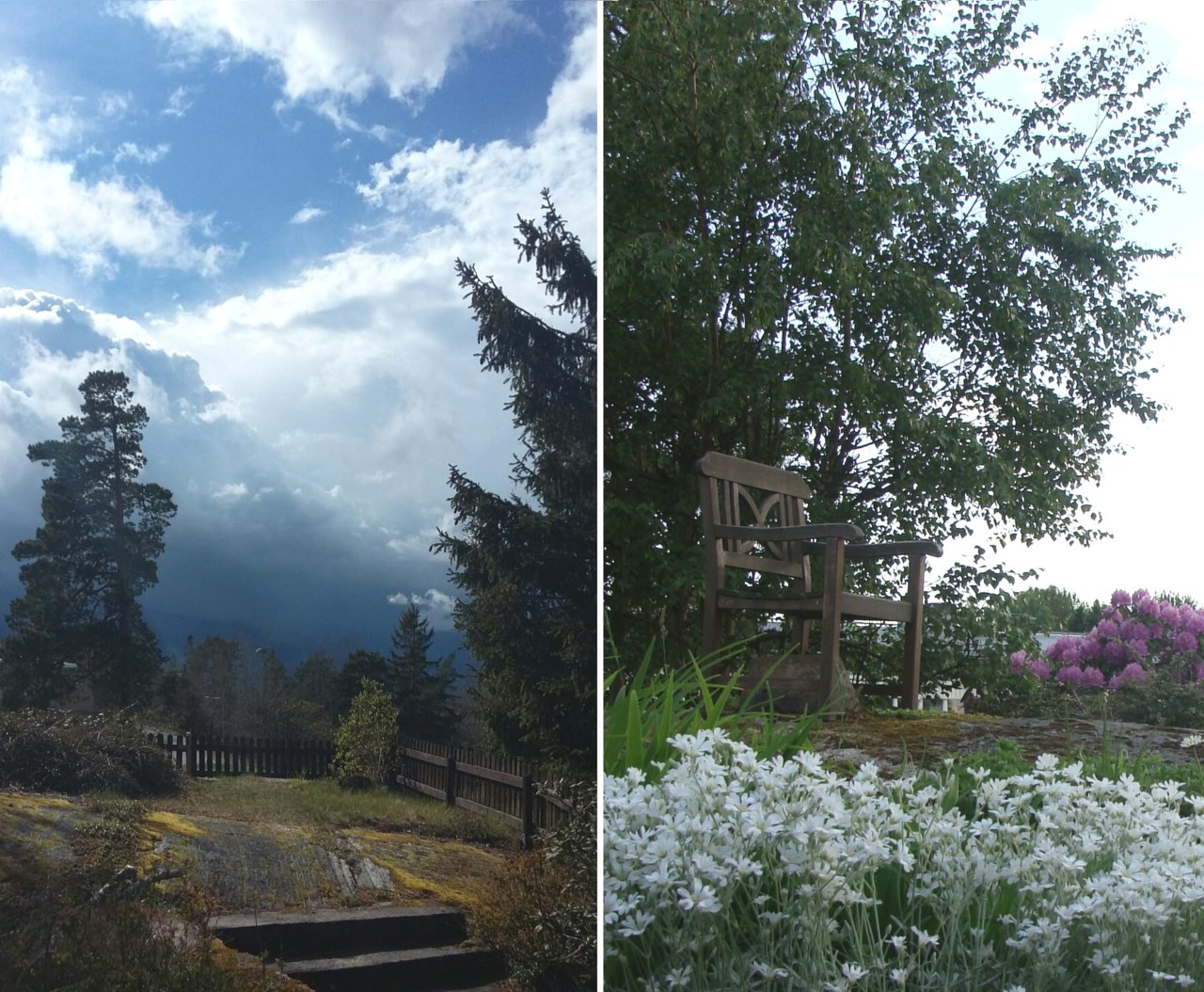 Säljarens sommarbilder