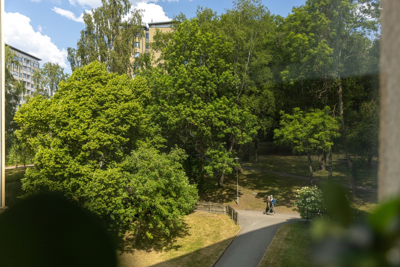 Gräddgatan 10
