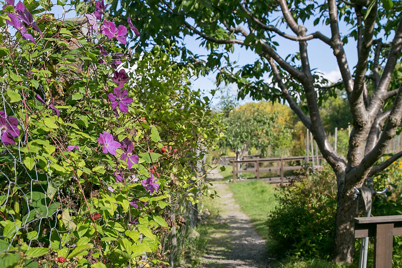 Lidköpingsvägen 43
