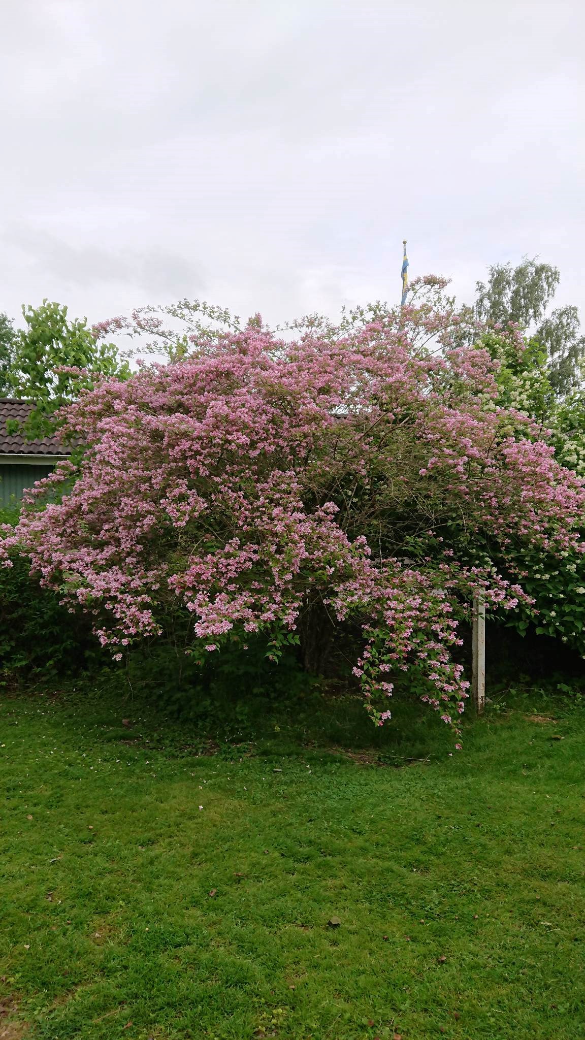 Liljanstorpsvägen 38