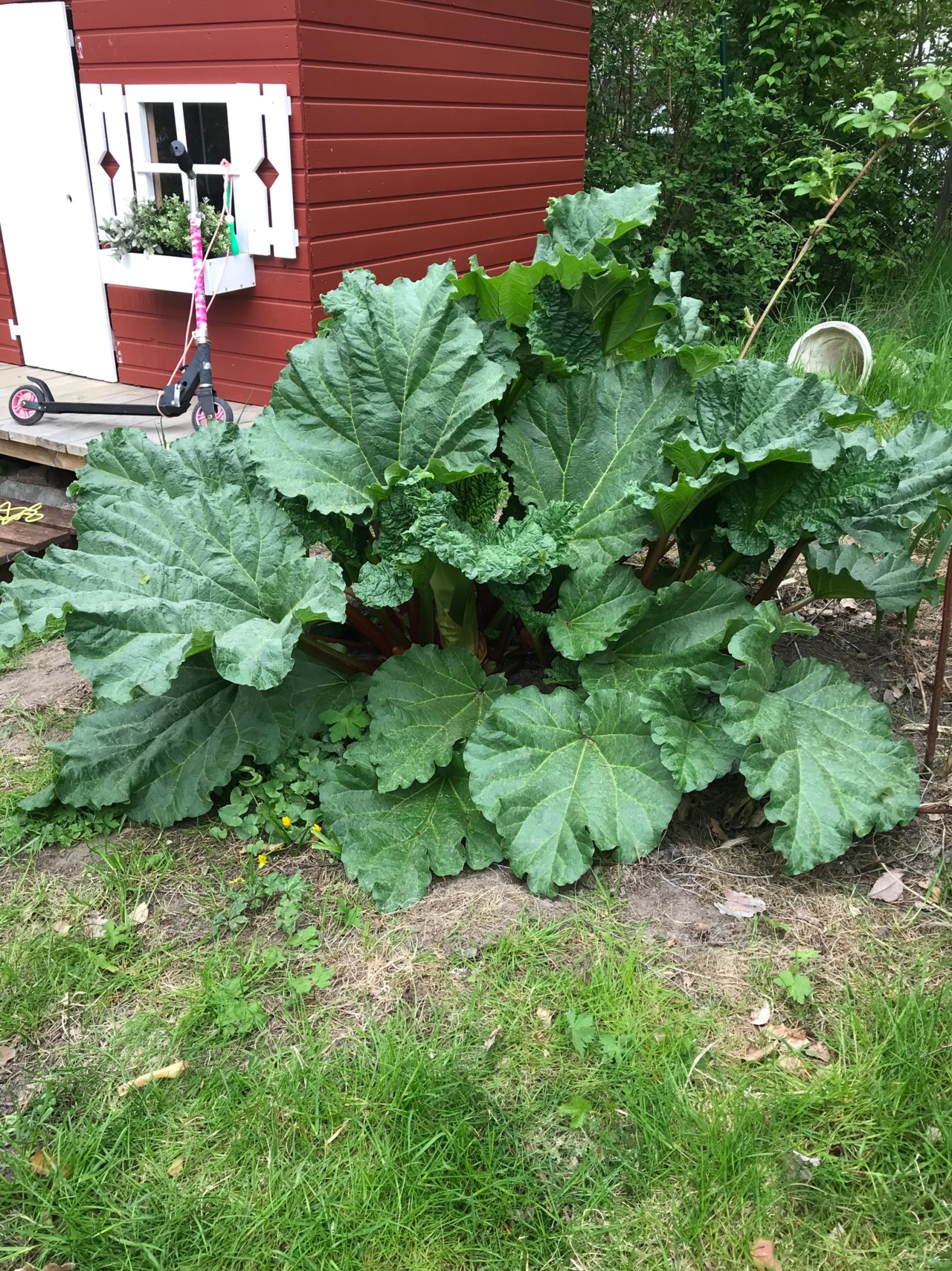 Terrängvägen 23