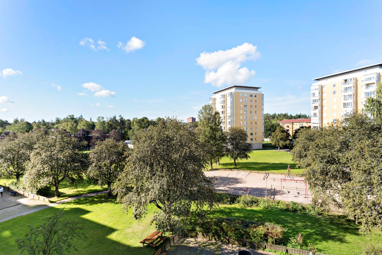 Föreningens innergård