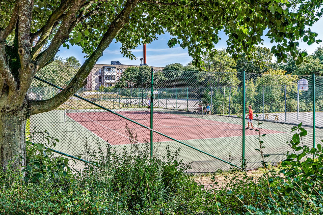 Ormingeringen 18