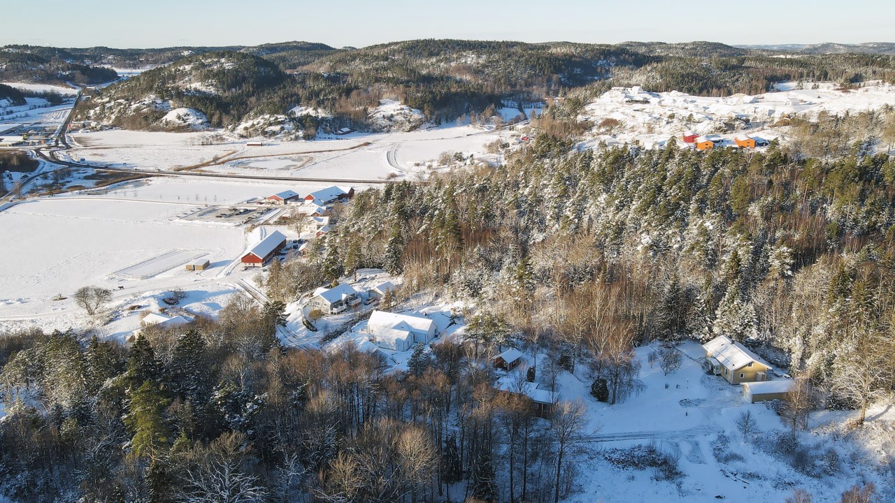 Svälte 141