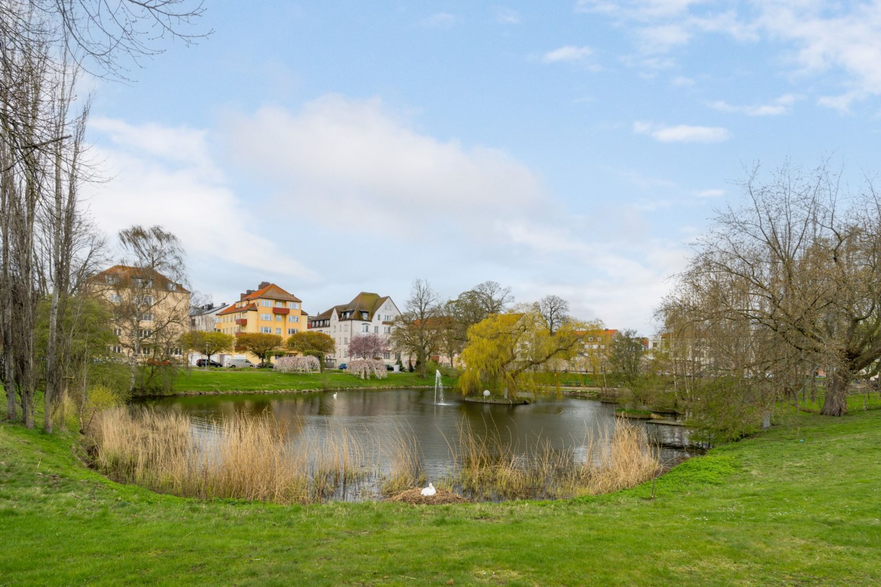 Föreningsgatan 64