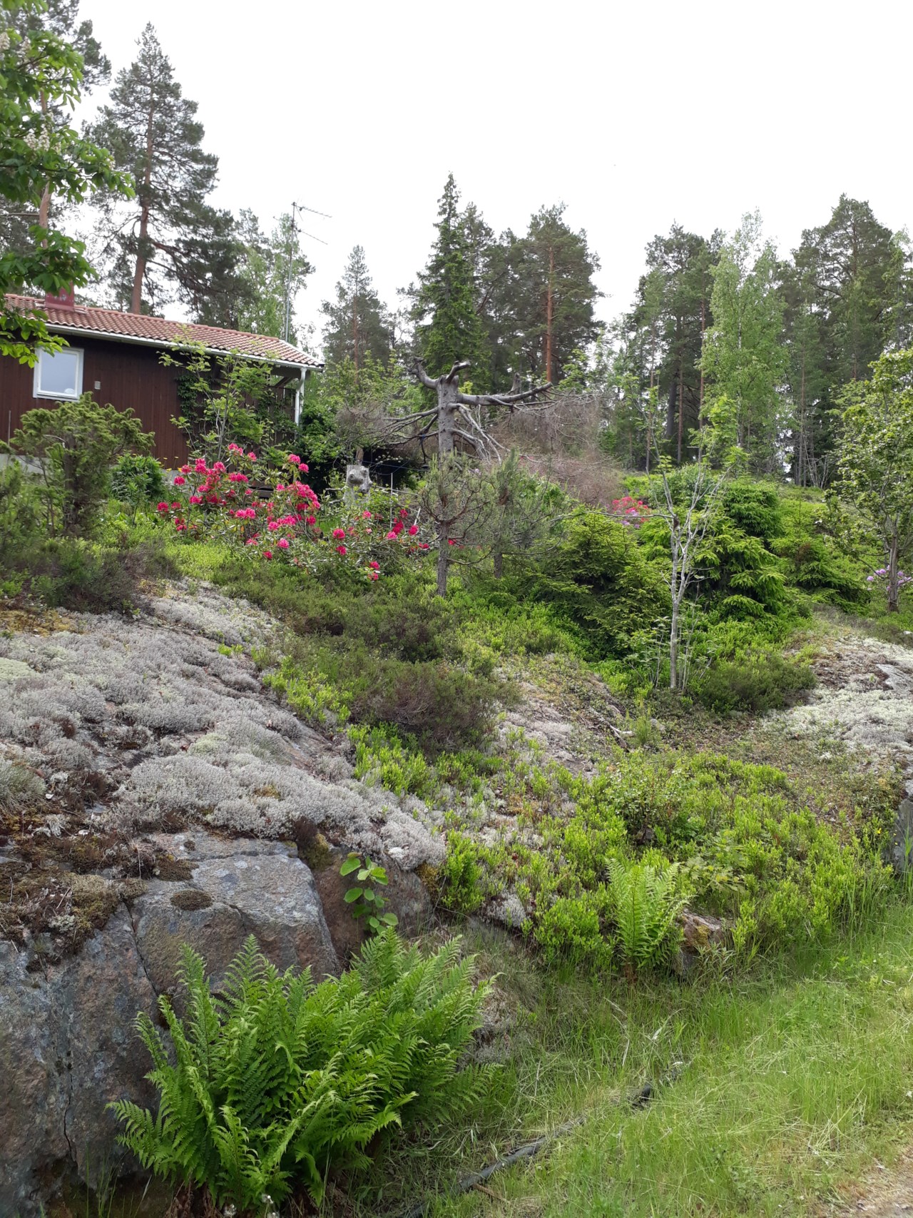 Bergsrundan 2