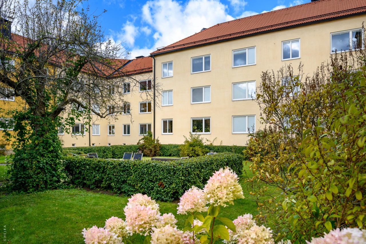 Carl Thunbergs Väg 3
