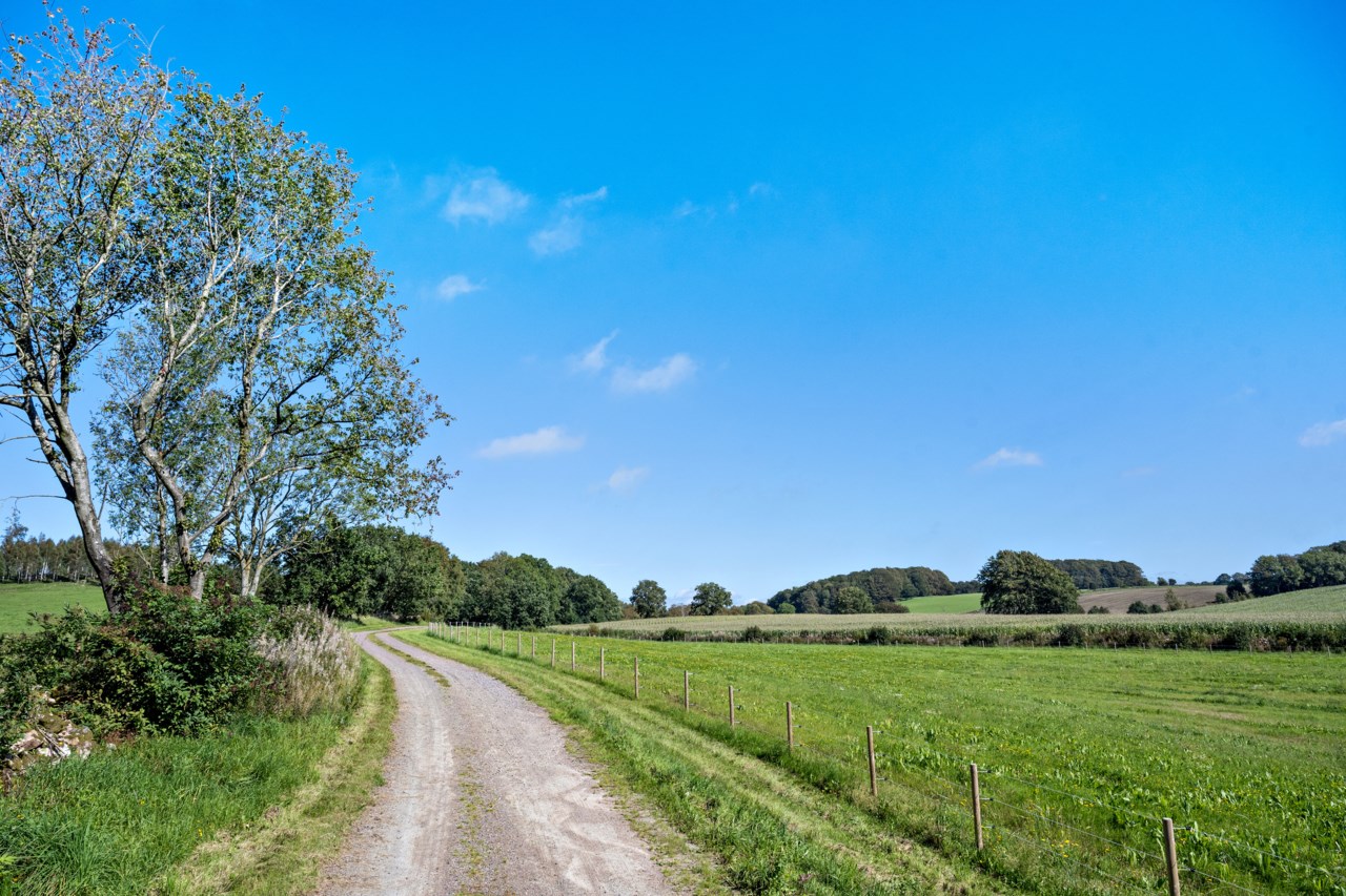 Offerstigen 4