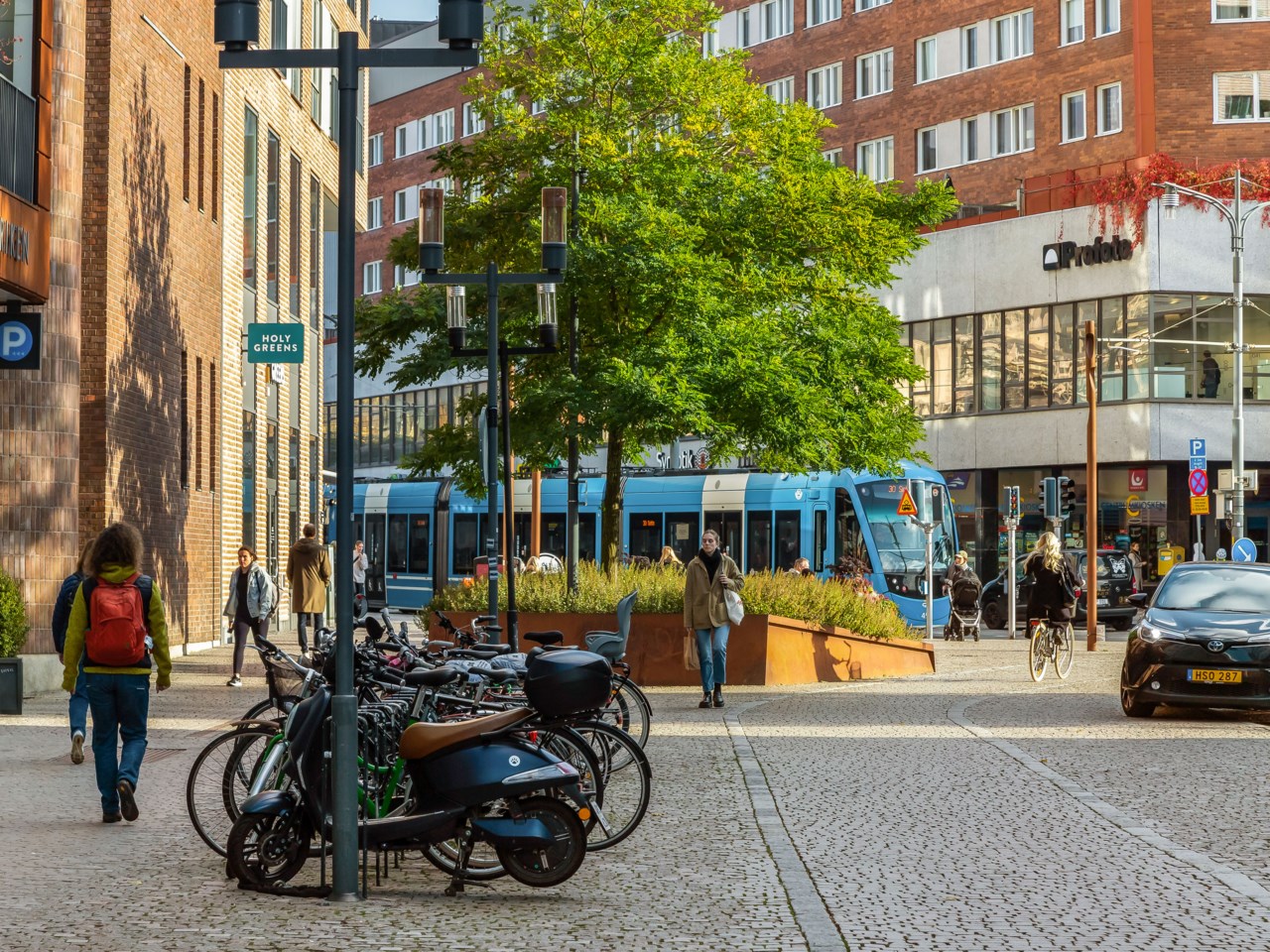 Rosengatan 8