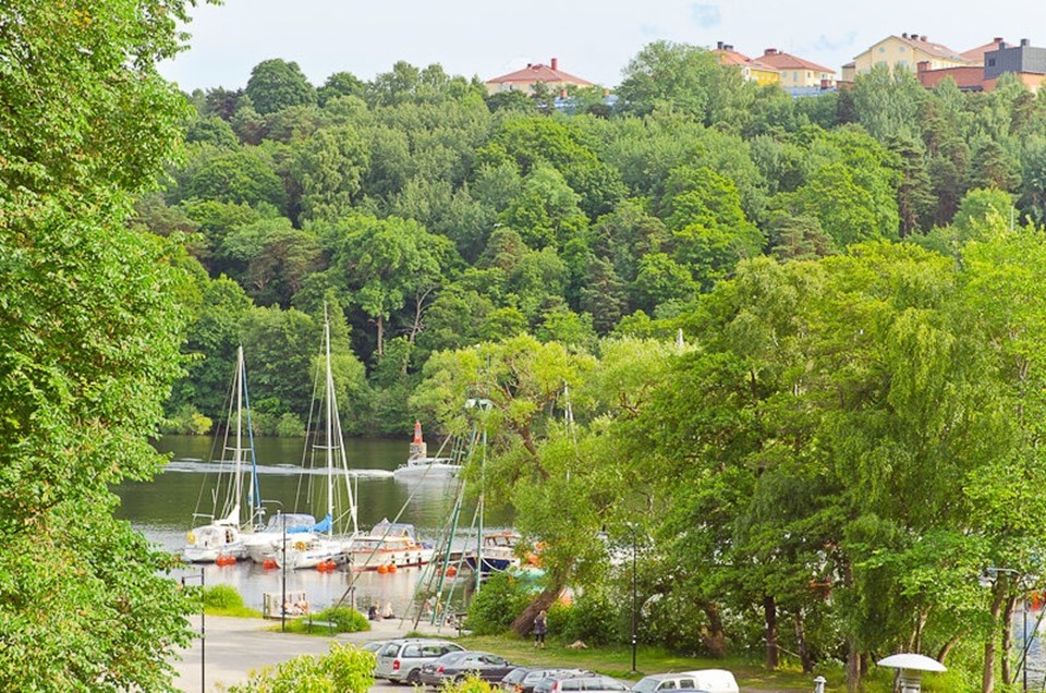 Årstaviken sommartid