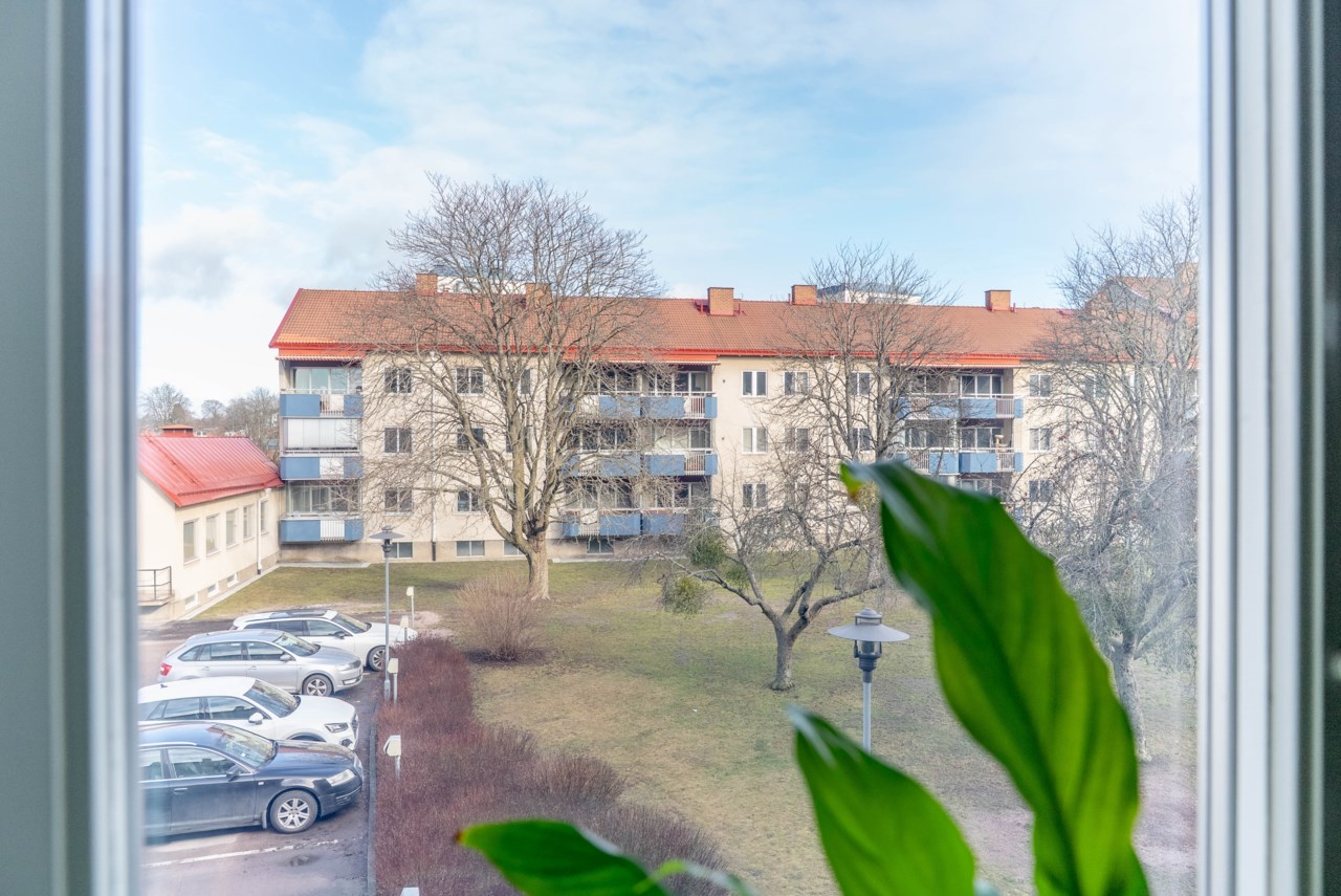 Blomstergatan 19