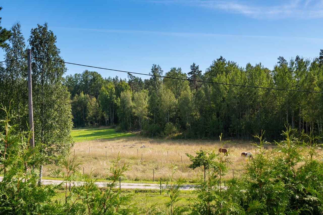 utsiktsbild