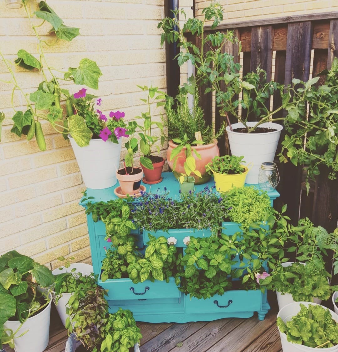 Lilla Björnens Gränd 8