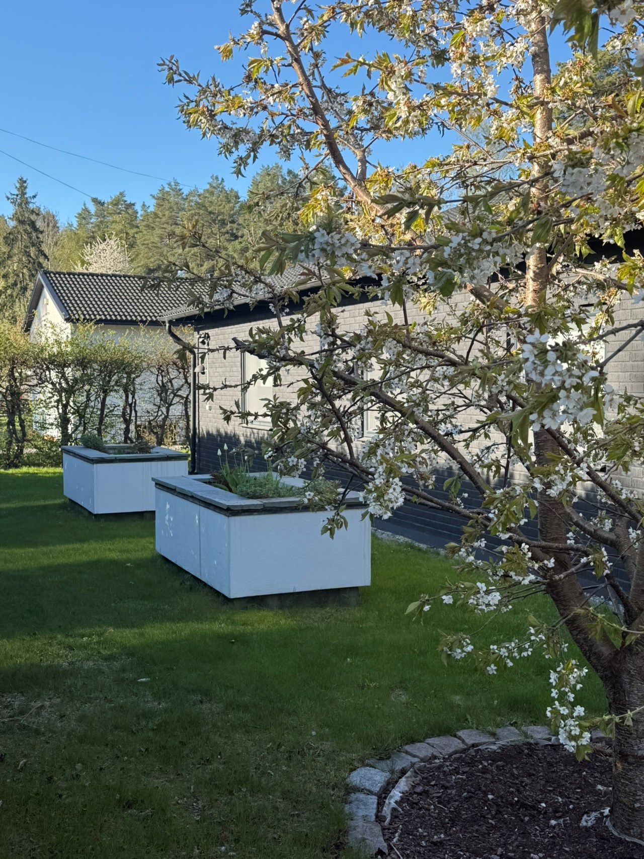 Skimmelvägen 15