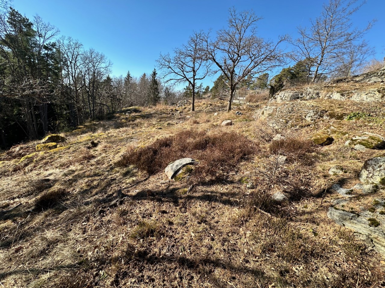 Säljarbild 2