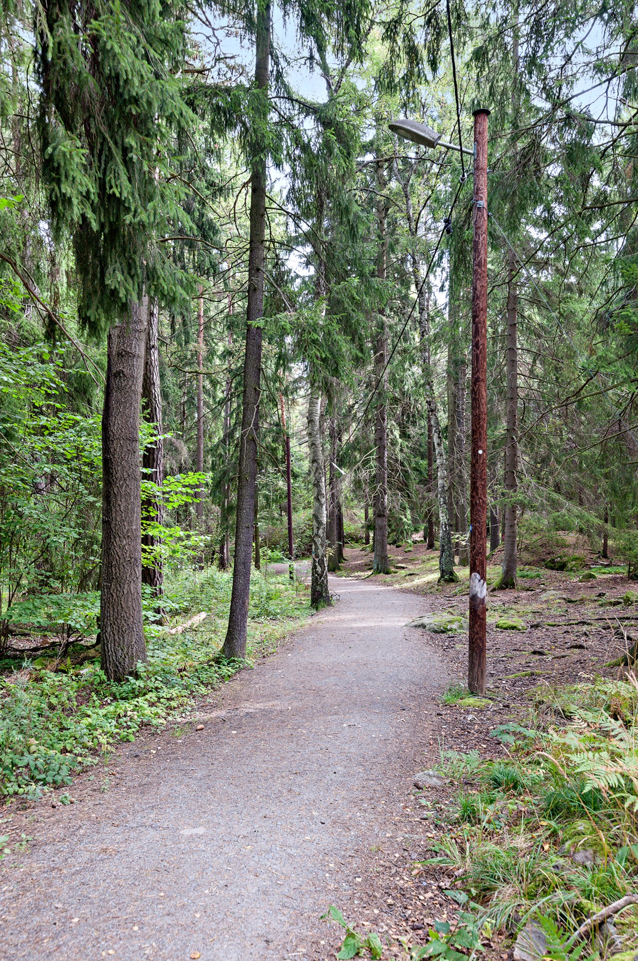 Älvsjöskogen 3