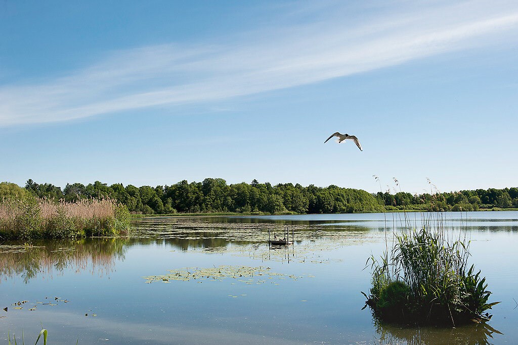 Virebergsvägen 3