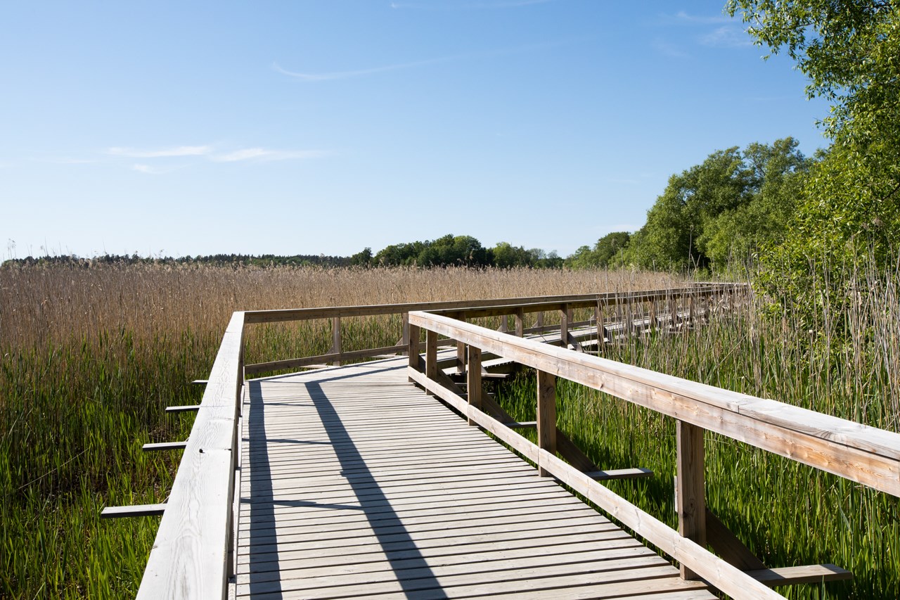 Genetikvägen 12