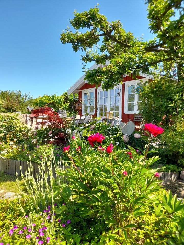 Säljarens bild
