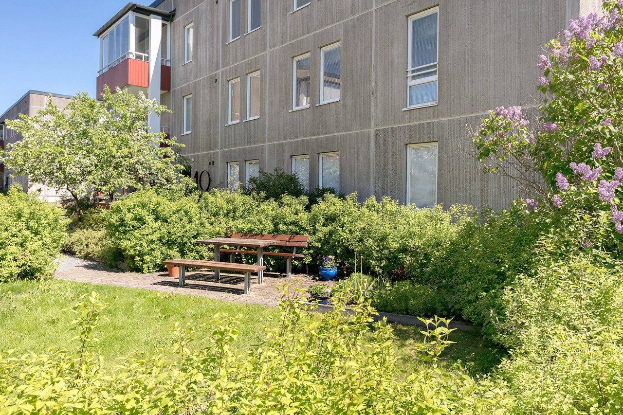 Ormingeringen 19