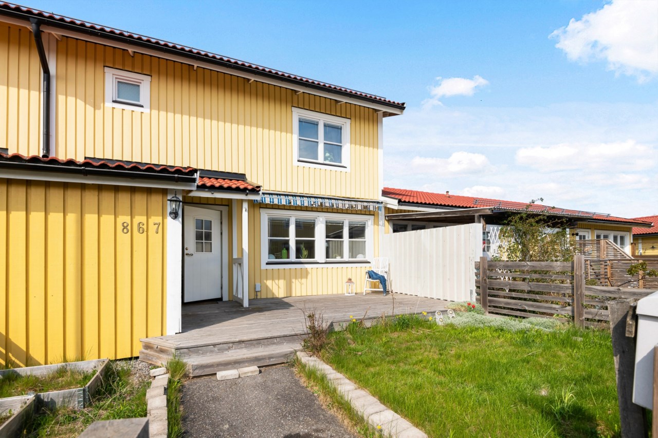 Järnåldersringen 867