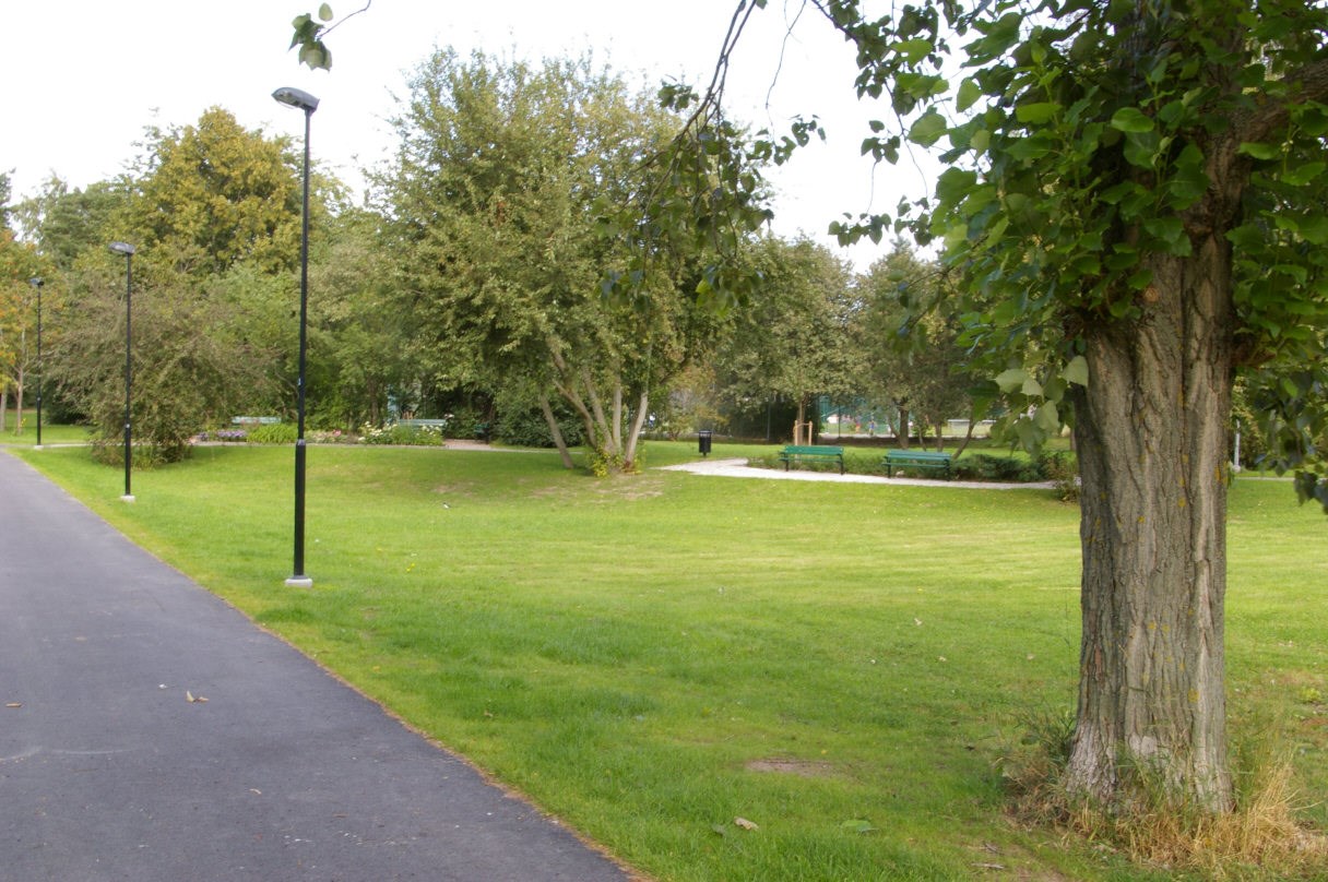Gångstråk Centrala Parken
