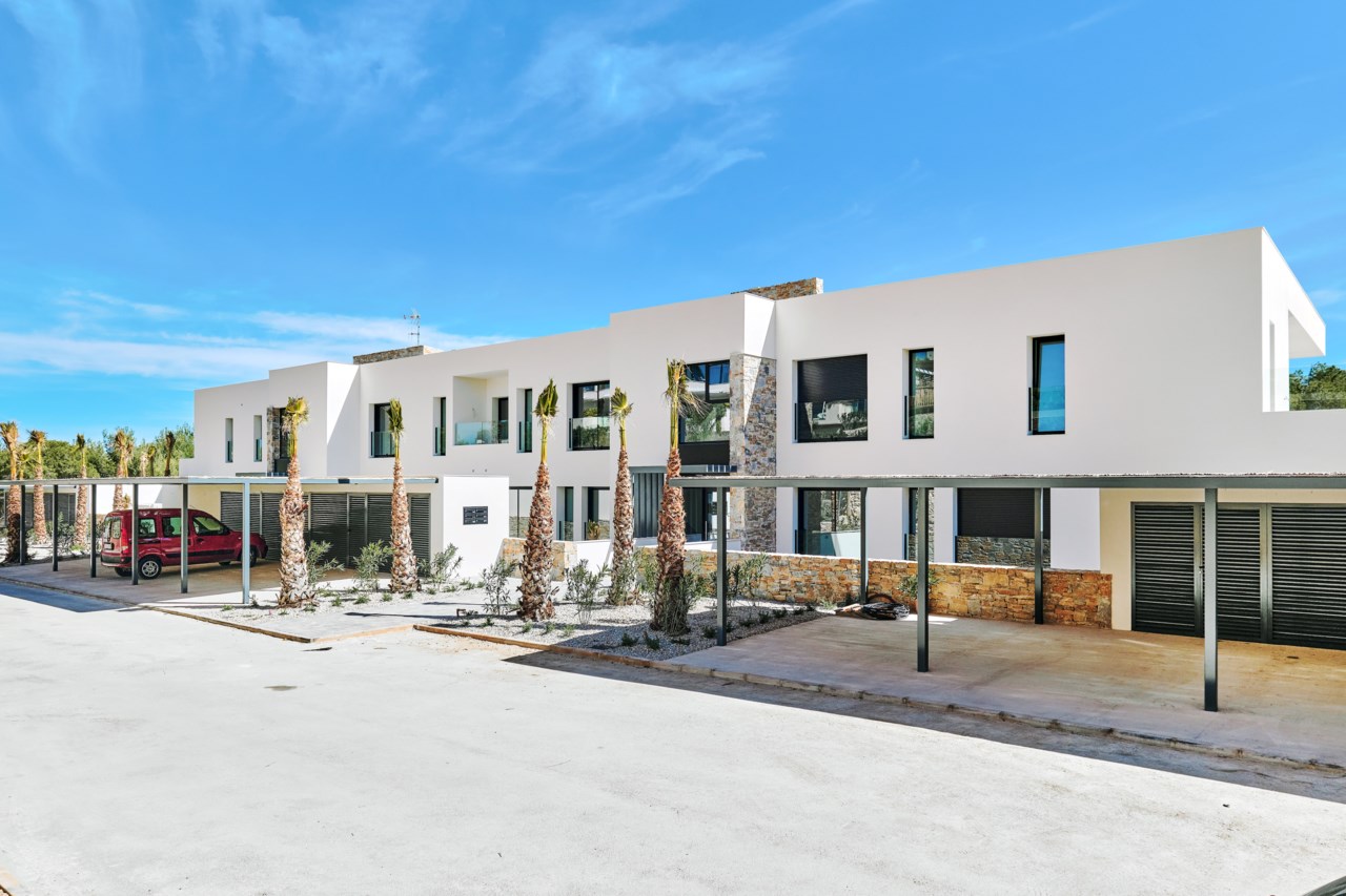 Limonero Las Colinas