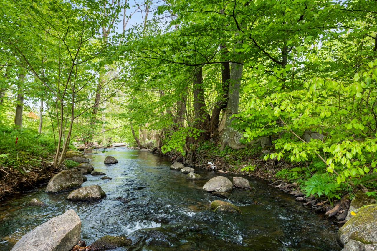 Sandliljevägen 11