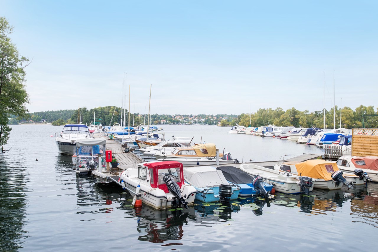 Höst Vinterviken